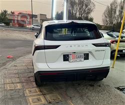 جيتور داشينج